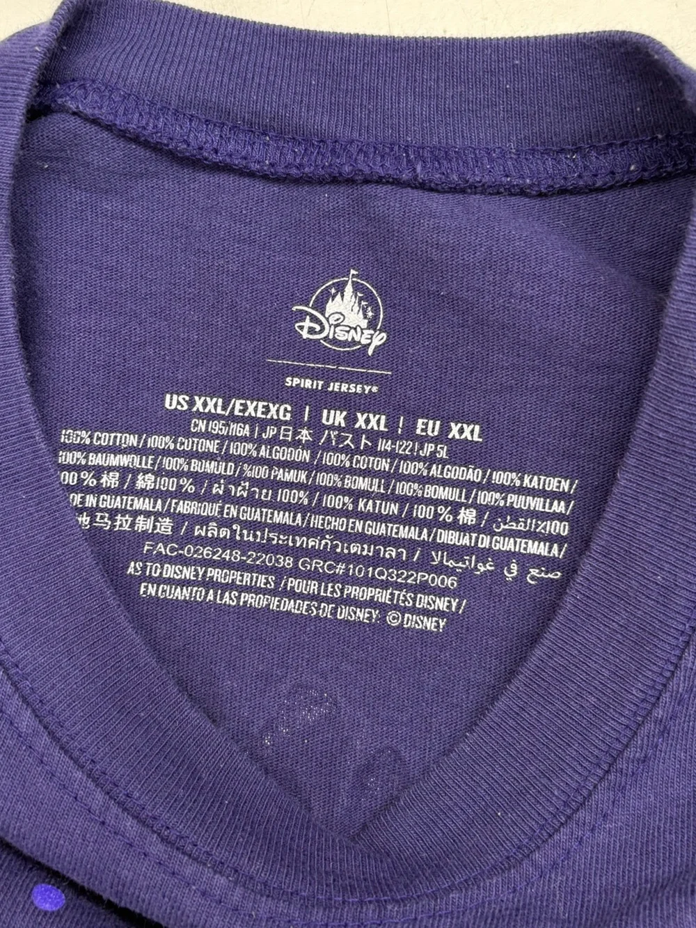 Disneyland Paris 30th Anniversary XXL Sparkle Spirit Jersey Purple Castle